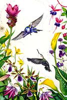 Les oiseaux d'une même plume