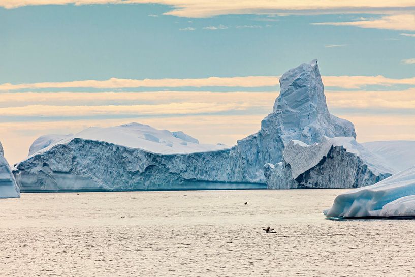 Les icebergs de l'Antarctique par Roland Brack