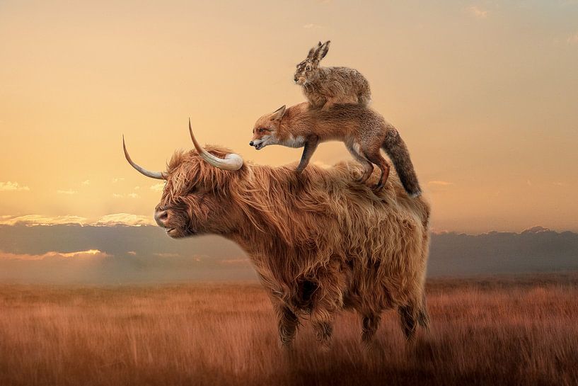 pile d'animaux par Roxyfotografie.nl