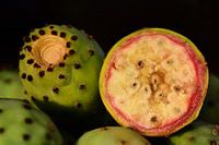 Figues de Barbarie rouges