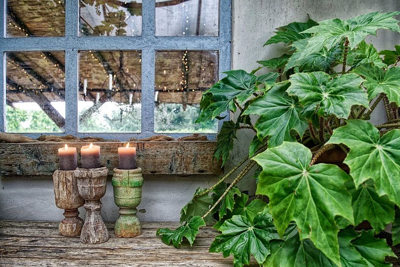 still life by Tilly Meijer