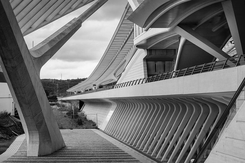 Guillemins Gare de Liège par Rob Boon