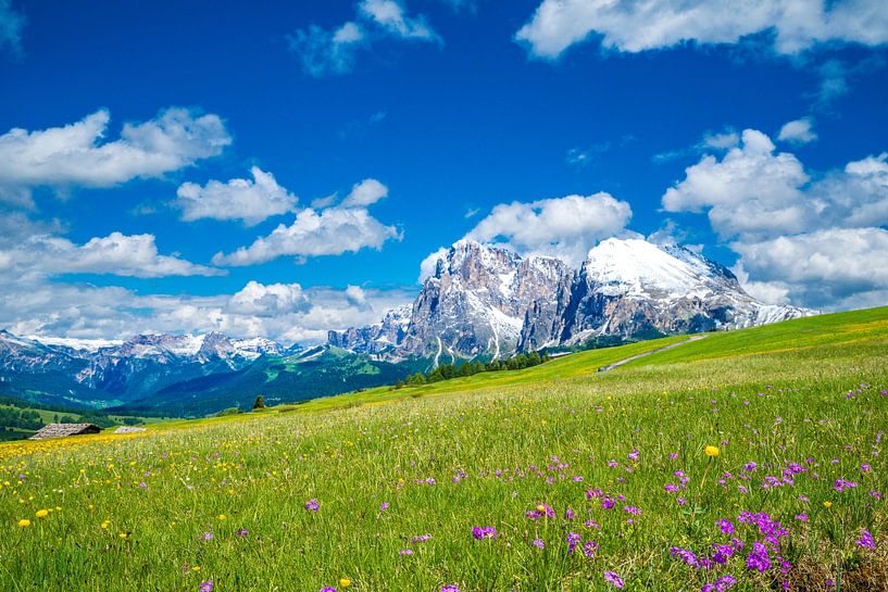 Alpe di Siusi panorama in the Dolomites during spring by Sjoerd van der Wal Photography