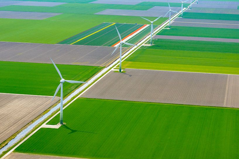 Vue aérienne de diverses couleurs de champs de fleurs de tulipes par Sjoerd van der Wal Photographie