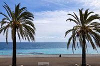 Promenade mit Palmen und Blick auf das Mittelmeer in der Innenstadt von Nizza, Côte d'Azur