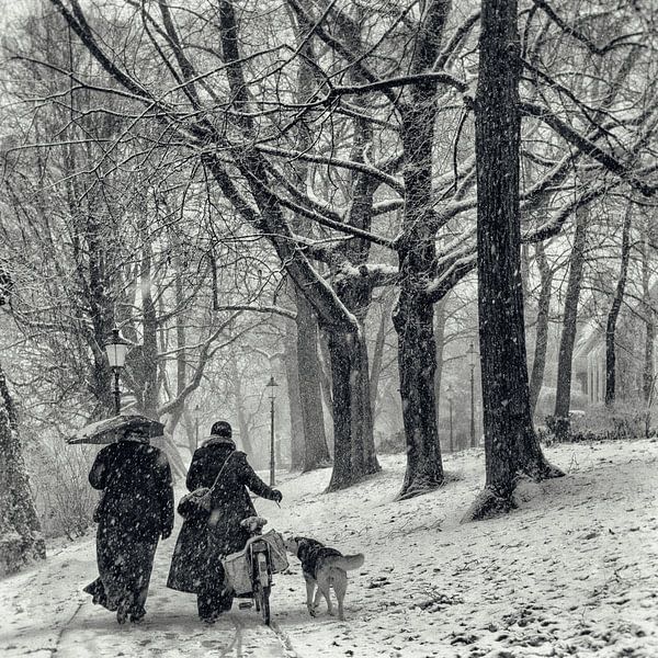 December sneeuw van Tvurk Photography