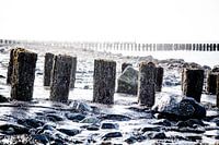 Paalhoofd op dijk Westkapelle