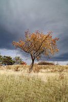 L'été indien dans les montagnes du Harz