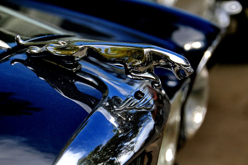 Jaguar logo by Henk Langerak