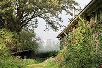 Rotterdam bij het quarantainestrandje 