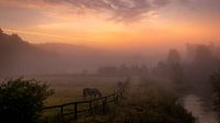 Mistig Landschap Tijdens Het Gouden Uurtje