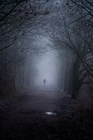 Journée d'automne sombre et brumeuse dans la forêt