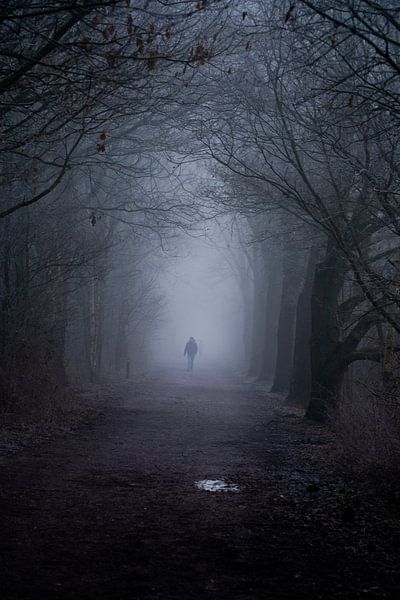 Journée d'automne sombre et brumeuse dans la forêt par Stef Wingens
