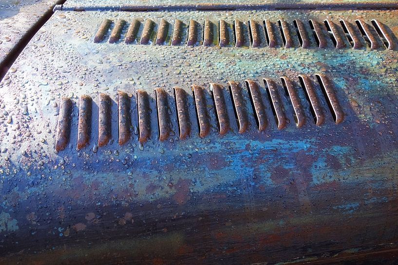 Hot Rod Hood by Theodor Decker