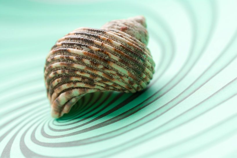 Schale mit Streifenmuster und dynamischen Linien von Lisette Rijkers