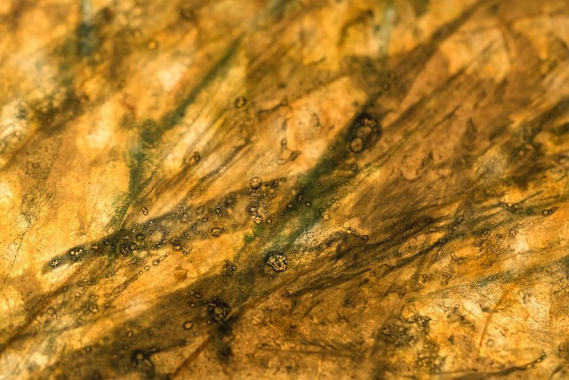 Die Textur eines alten Blattes in Herbstfarben von Lisette Rijkers