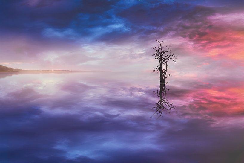 Leistungsstarke Bildbearbeitung eines Baumes bei Sonnenuntergang über plätscherndem Wasser von Elianne van Turennout