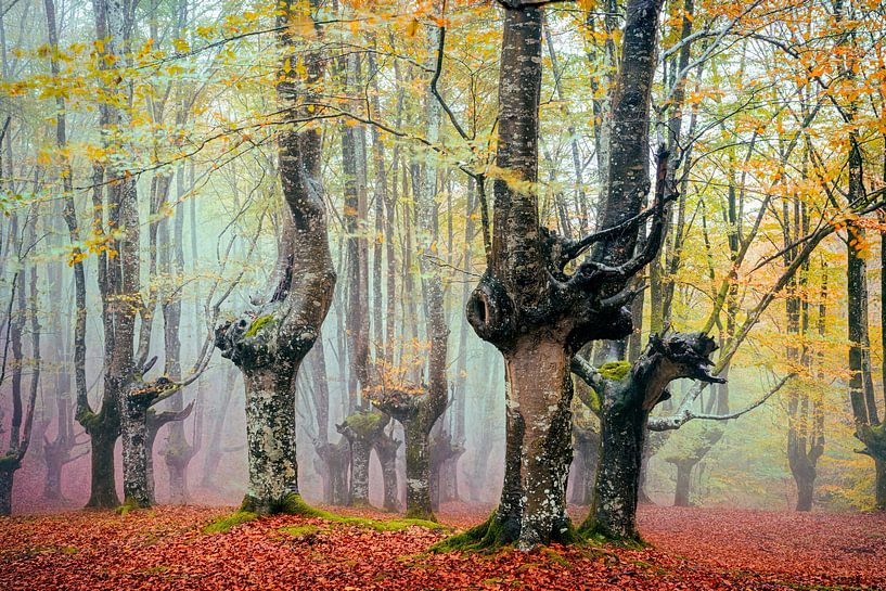 Urkiola von Lars van de Goor