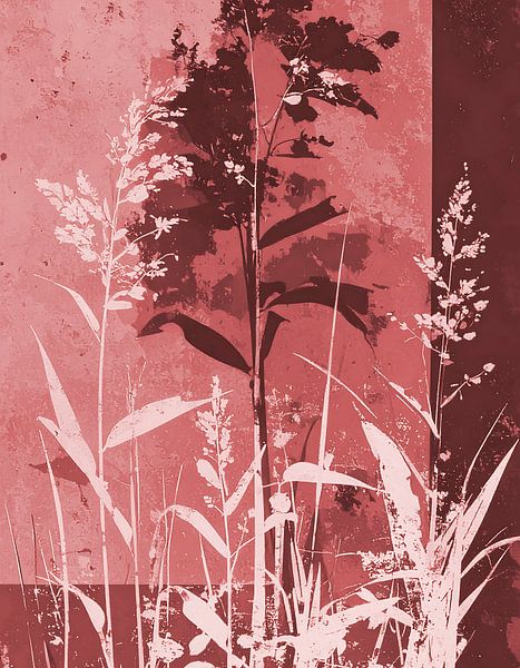 Illustration botanique moderne - Graminées -8 par Studio Pieternel