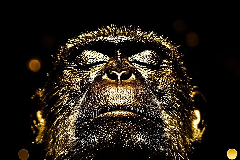 Singe doré avec contraste de lumière par Art & Soul Creations