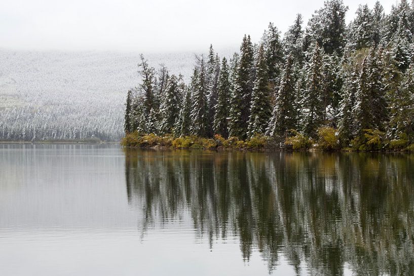 Wintergefühl von Leontien van der Linden - Wapenaar