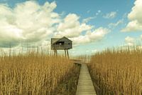 The Seekers' Cupboard