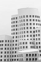 Leben in schwarz und weiß