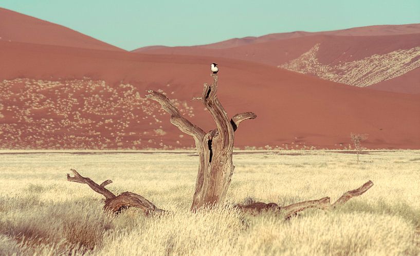 Sossusvlei Viewpoint by BL Photography