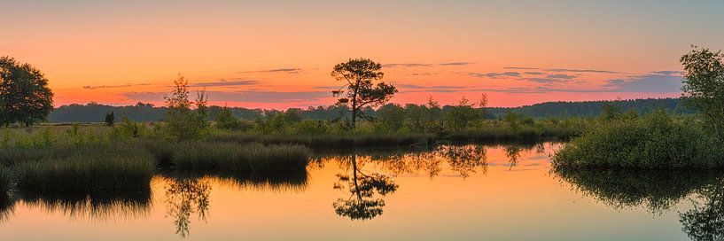 Panorama and sunrise in Dwingelderveld National Park by Henk Meijer Photography