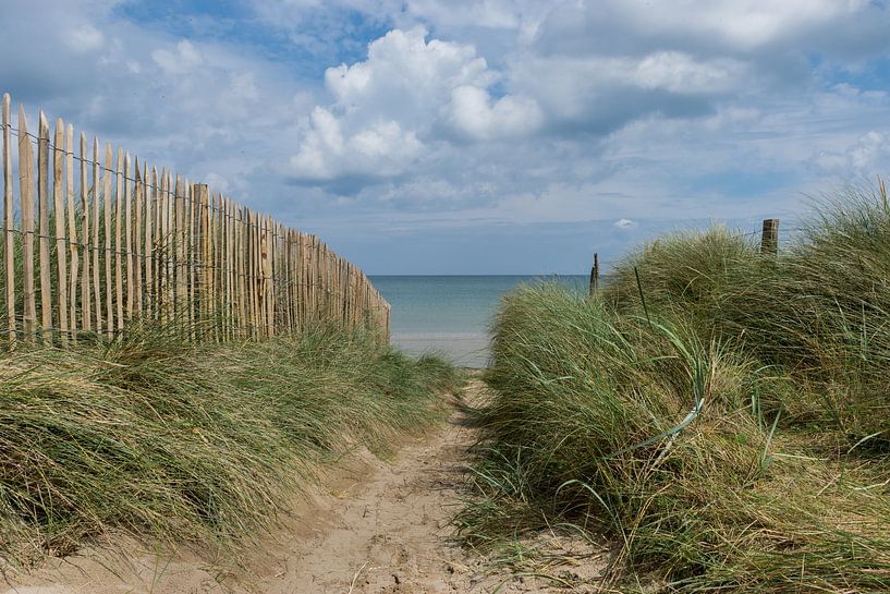 Sur le chemin de la plage. Mer, plage et chemin à travers les dunes par Patrick Verhoef