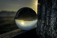 sarcler à travers un globe de verre