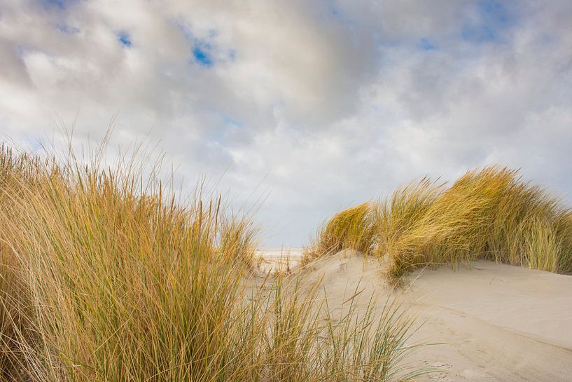 Doorkijkje duinen naar strand van Nationaal Park Schiermonnikoog. von Margreet Frowijn