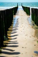 Vue créative des brise-lames à Zoutelande