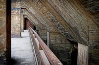 Landscape park vista