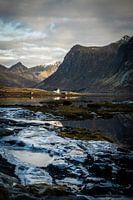 Cabin in the mountains