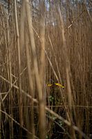 In der Stadt eingeschlossen