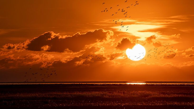 Emmapolder, Gronings Wad by Ton Drijfhamer