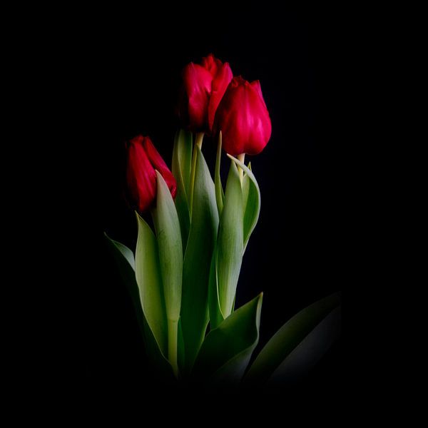 a young couple in a threesome #009 by Peter Baak