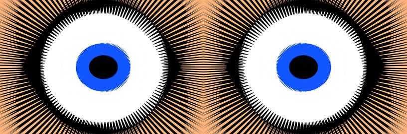 Ogen von Leo Huijzer