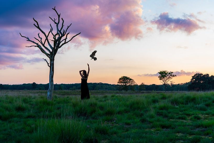 Begegnung zwischen Tag und Nacht von Marleen Schellekens