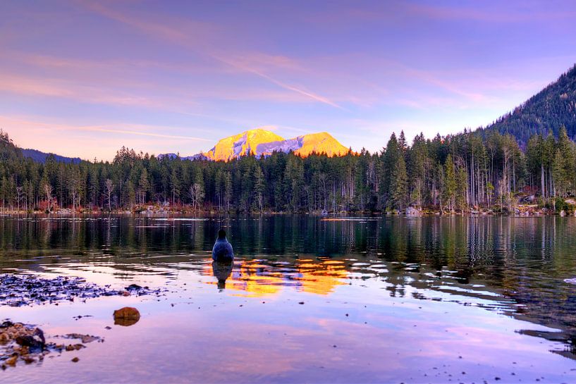 Andächtige Taube von Roith Fotografie