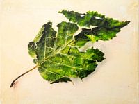 Sonnenverbranntes Baumblatt 6, Sommer 2023