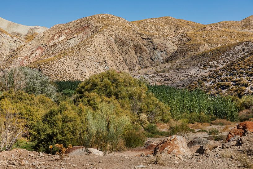 Gorafe parque Temático von Karin Broekhuijsen
