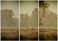 lauwersmeer triptych 26