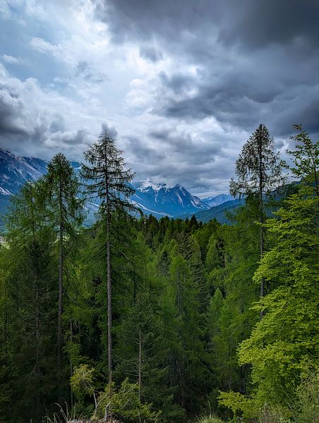 Mountain View by Jaco Verheul