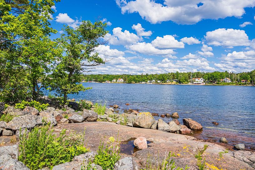 Ostseeküste mit Felsen und Bäumen auf der Insel Uvö in Schwed von Rico Ködder