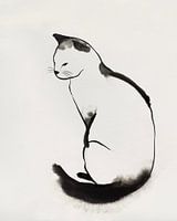 Black Kitten II, PI Studio 