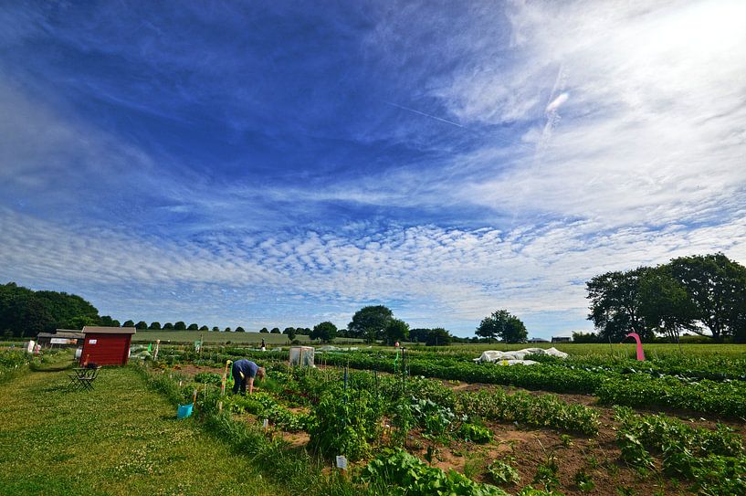 Wolkenbild par Edgar Schermaul