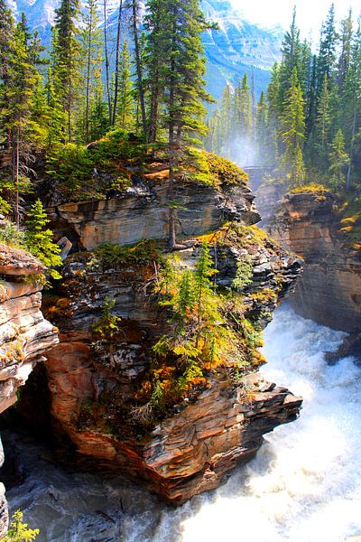 Maligne Canyon in Jasper National Park by Thomas Zacharias