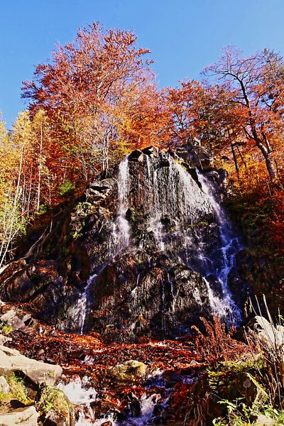 Der Radauwasserfall im Harz von Nature and More - Photography